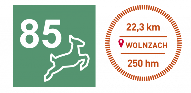 Thementouren Rad No. 85