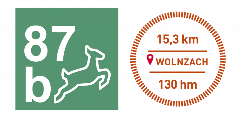 Thementouren Rad No. 87b