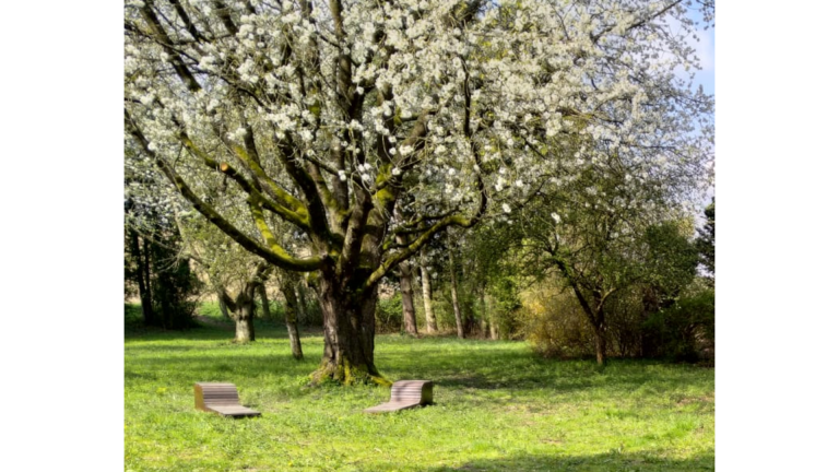 Streuobstwiese_Freie Zeit sanft genießen