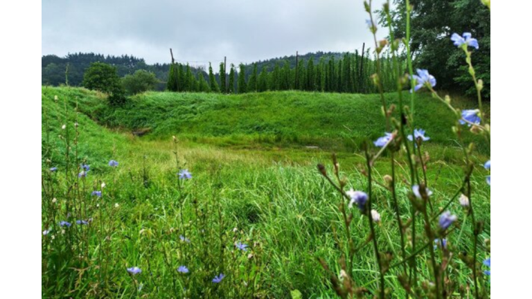Oberlauterbach_Klimaschutz und Anpassung